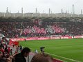 Leverkusen - VfB 2008 (139)